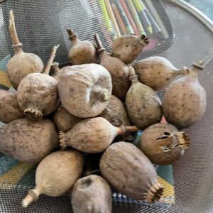 good quality stuff.. natural