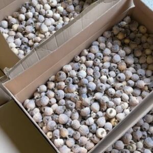 Dried Poppy Heads 2kg