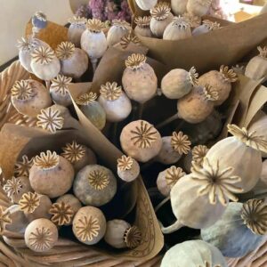 uk Dried poppy decoration 1kg